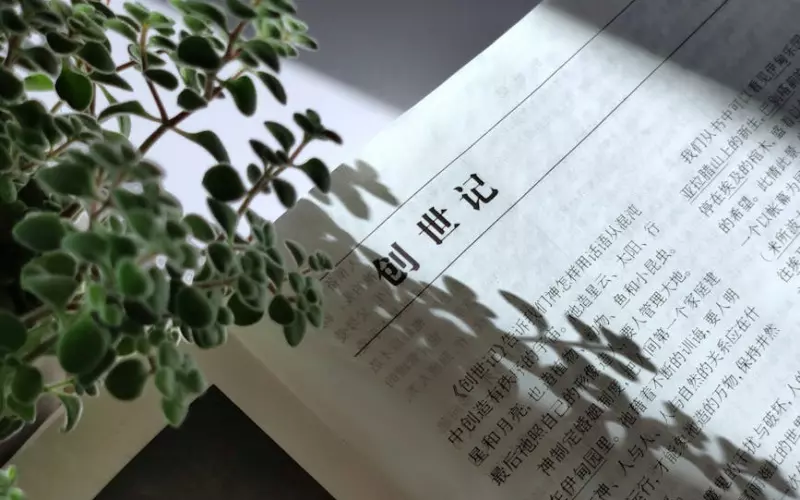 情感故事网恋惨剧(情感故事女友和前妻)