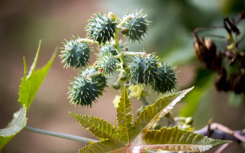 共情是挽回的良药，懂得运用它有助于你的挽回！