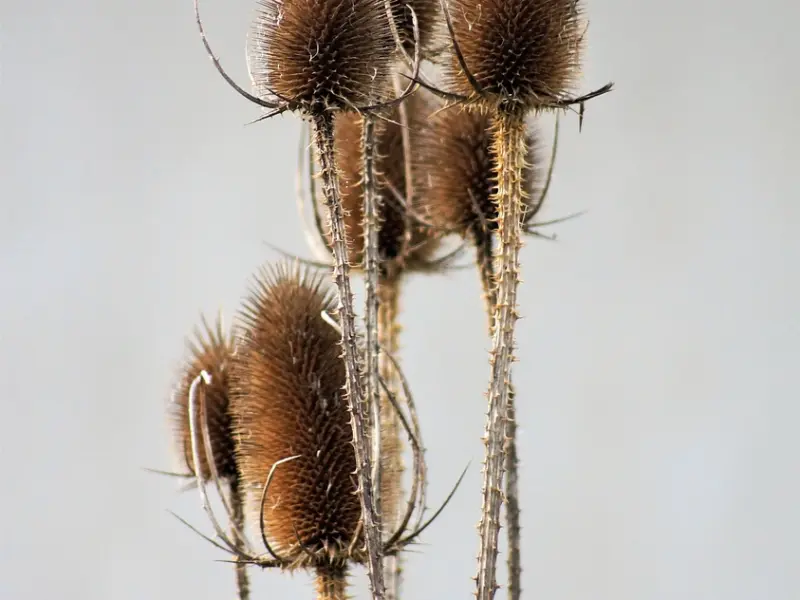 【终结光棍·举报单身】百合姐悬赏光棍啦！