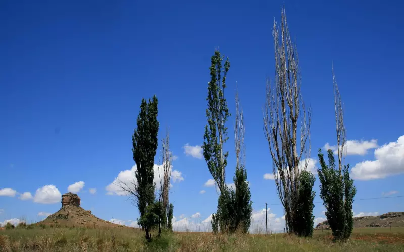 【提升系——穿衣搭配】8个比例法则，你也能又高又瘦！