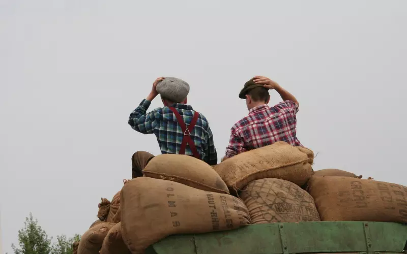 丰富自己，永远比取悦他人更加有力量