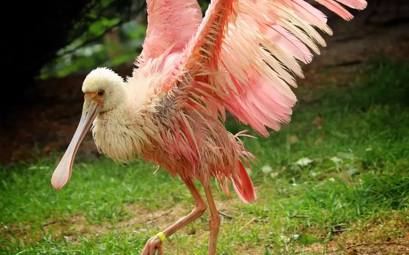 建立三种精神支柱，撑起挽回爱情大局