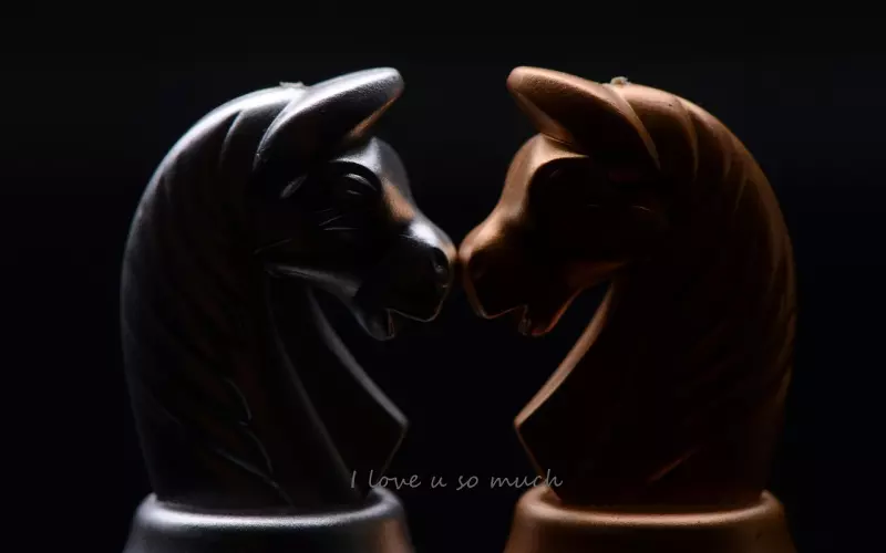 每首歌都有自己的故事，《修炼爱情》，珍惜眼前