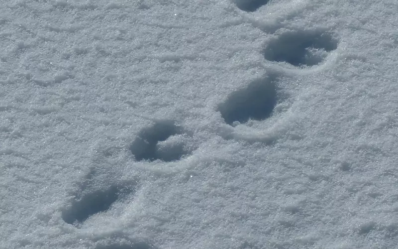 每一次想你，都感觉心痛