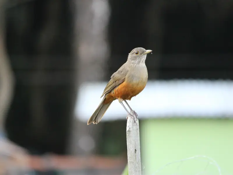 女人这4个暗示，过来人都知道，你懂？