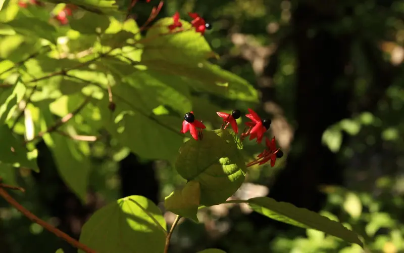 任何事，任何人，都会成为过去。