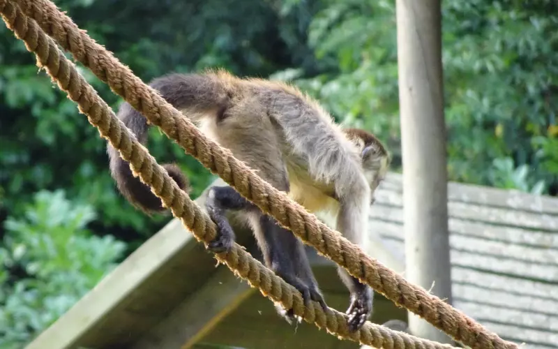 外界的一切都是成就更好自己的陪练——情感婚姻挽回导师崔永福