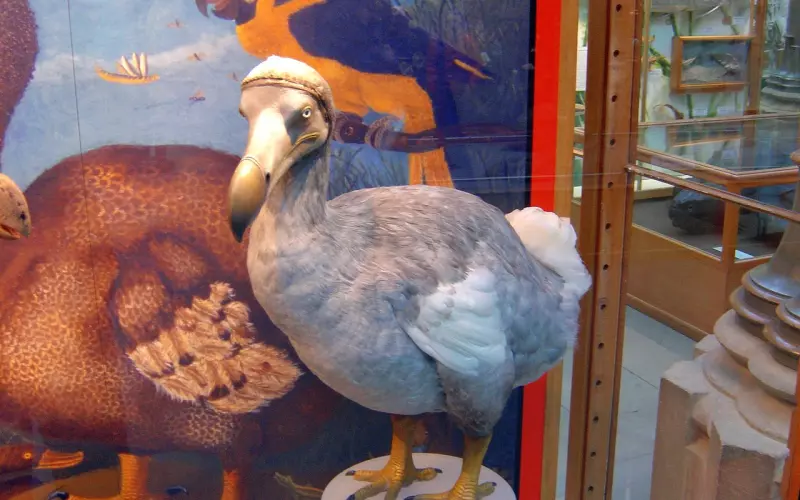 万般皆苦，唯有自渡（深度）