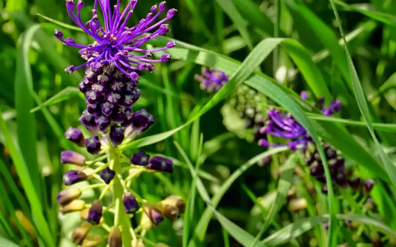 一切都是未知的