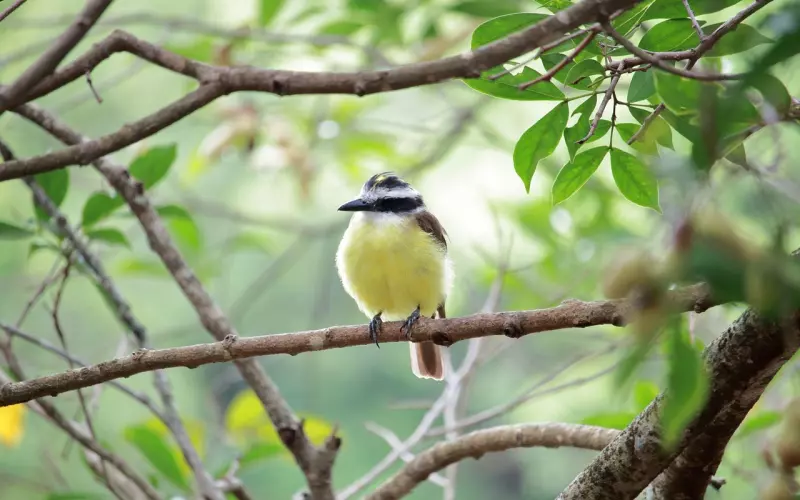 前任：“我还放不下你”