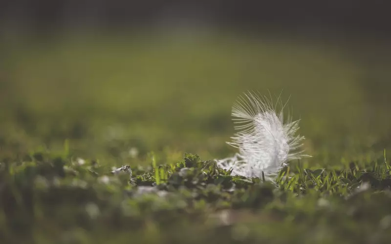 前任：“直到现在，我还放不下那个人”