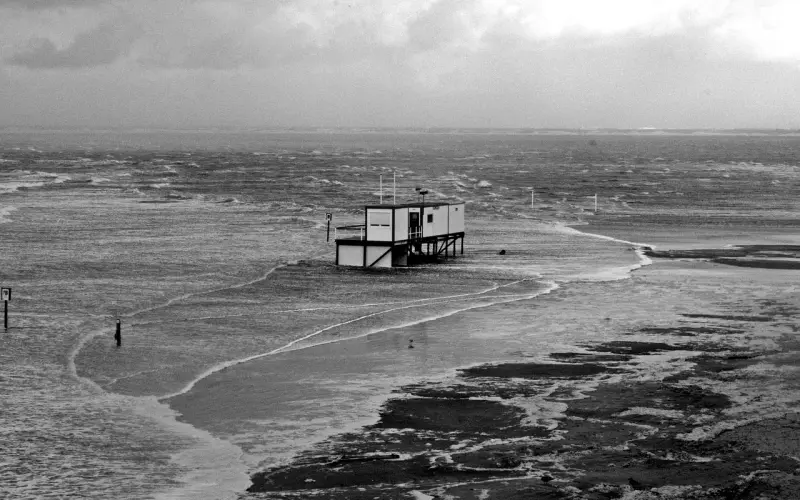 实例 | 恋爱和婚姻中，你必须知道的细节！