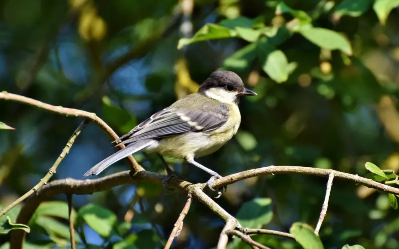 挽回前男友例子：挽回时不要把自己说得很伟大