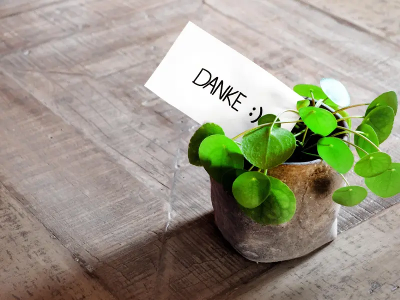 专家支招，教你如何写好一封挽回女友的信