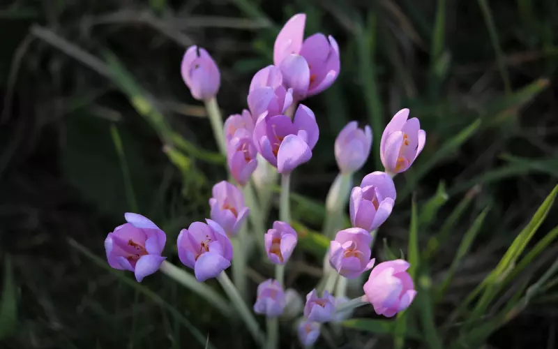 番外|初恋是不是用来练手的？