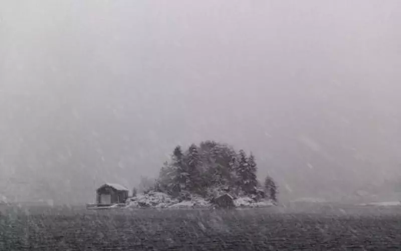 婚外情是劫不是缘(婚外情都是劫不是缘)