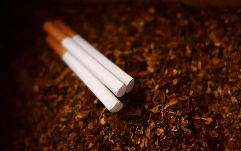 婚外情，是内心寂寞男女平淡生活的麻醉剂