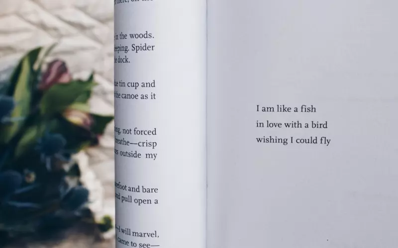 婚外情太痛苦了想放下又舍不得(婚外情为什么爱的那么痛苦)