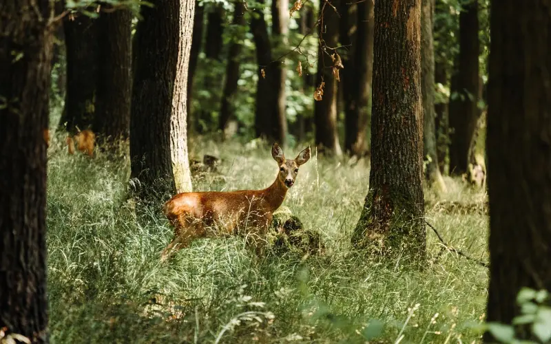 面对男人的冷落，聪明女人这样做，胜过一切卑微讨好
