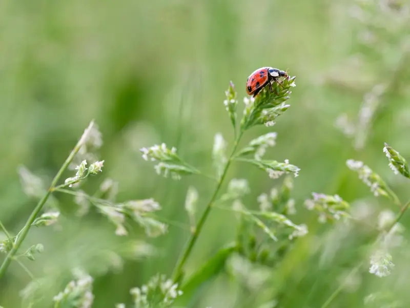 恋爱速成！四招让男人对你疯狂着迷