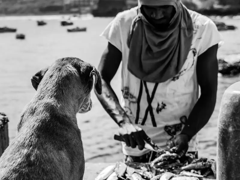 爱上一个有家庭的男人？如果你足够聪明，趁早放手