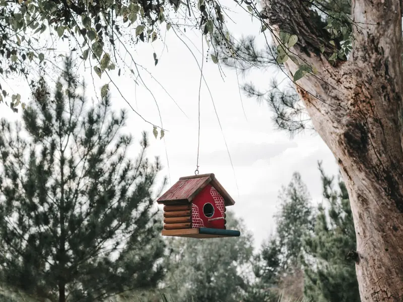 爱上一个有家庭的人，注定有缘无分。