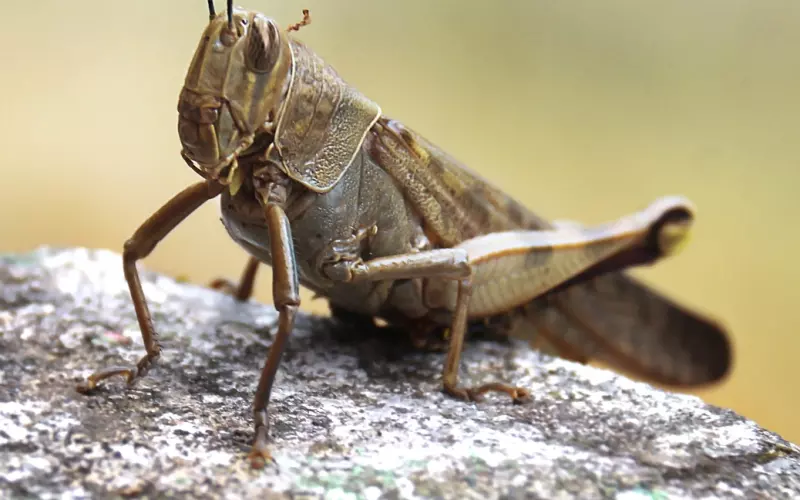 爱上一个有家庭的人，明知道是错误，可放手真的太难了
