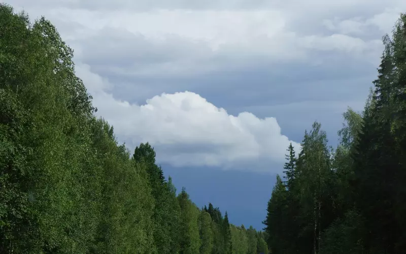 失恋很痛苦，这样做才能走出失恋的阴影
