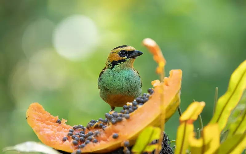 范冰冰分手，双宋cp离婚，都不及张若昀唐艺昕结婚