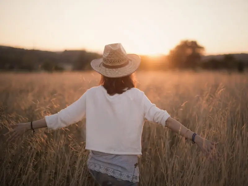 梵尘恋爱学 | 250篇精华总结！【恋爱小白学习教程】！！！