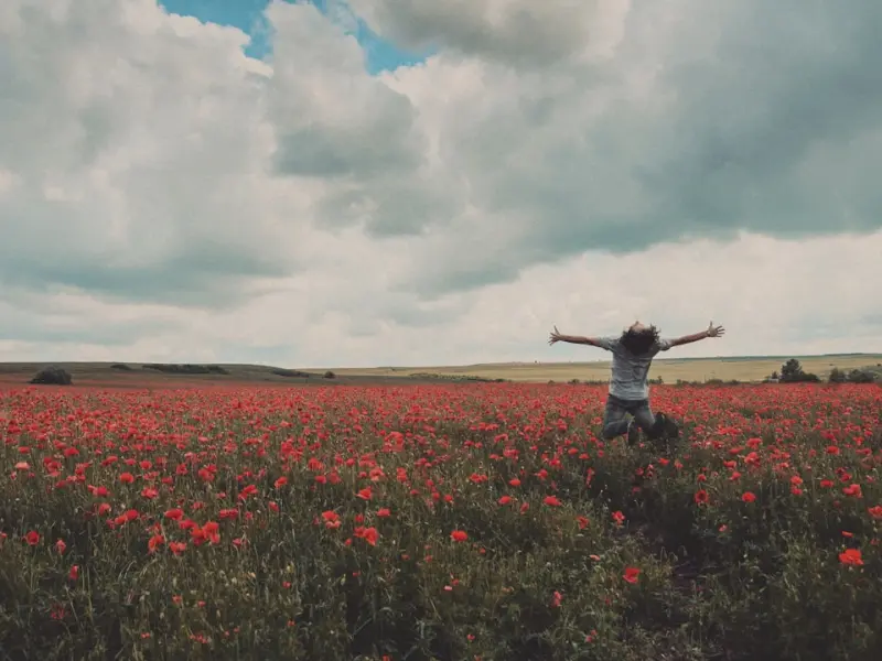 梵尘恋爱学 | 300篇精华总结！【恋爱小白学习教程】！！！
