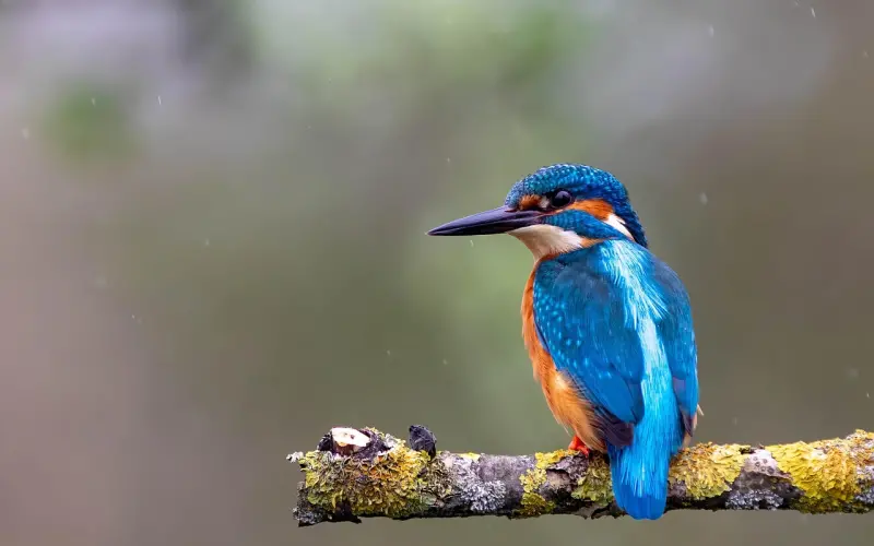 【粉丝福利】百合请你看音乐剧——《稳稳的幸福》，约吗？