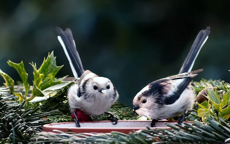 人情不过一阵雨，绝了！（非常经典）