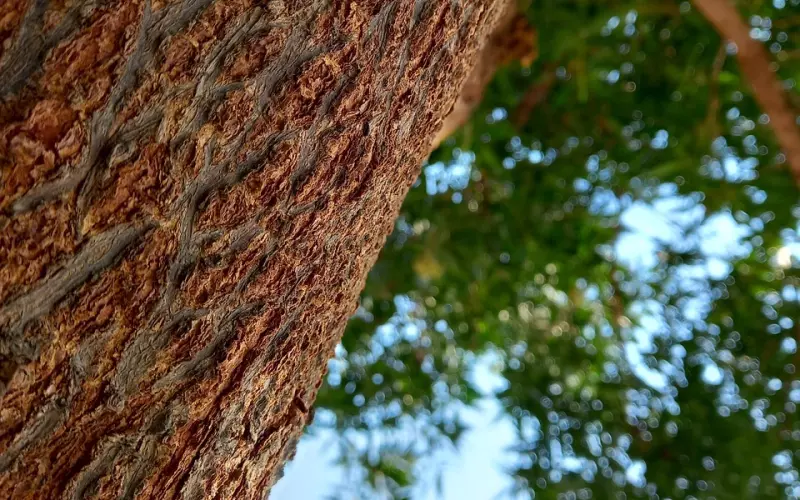 精选 | 给恋爱中的女生几句忠告！