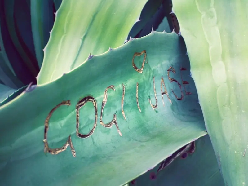 【精选问答】分手后想挽回女朋友的话，要给她过生日吗？