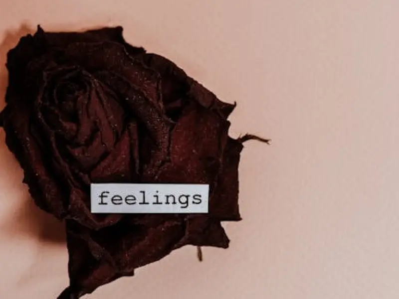 感情变淡了？这4个实用技巧就能帮助你们重塑甜蜜 (下)