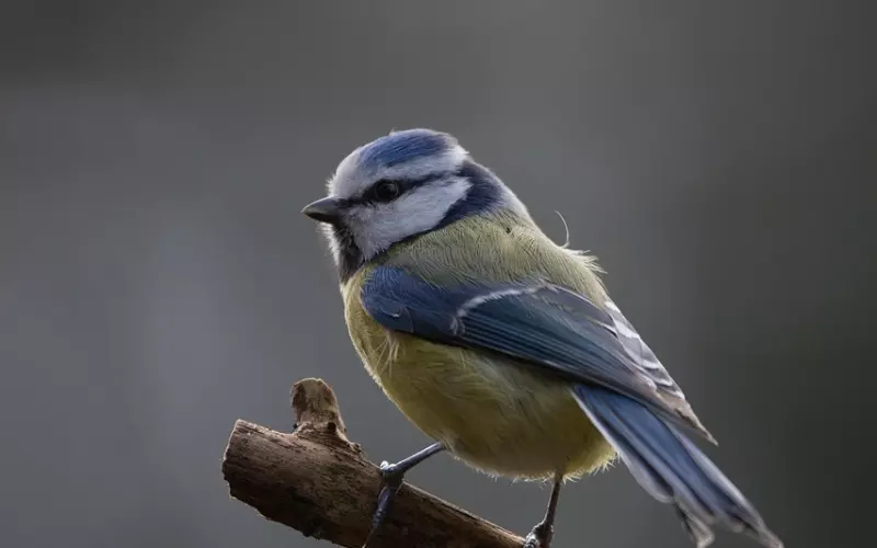 “五十种恋人不能做的事”