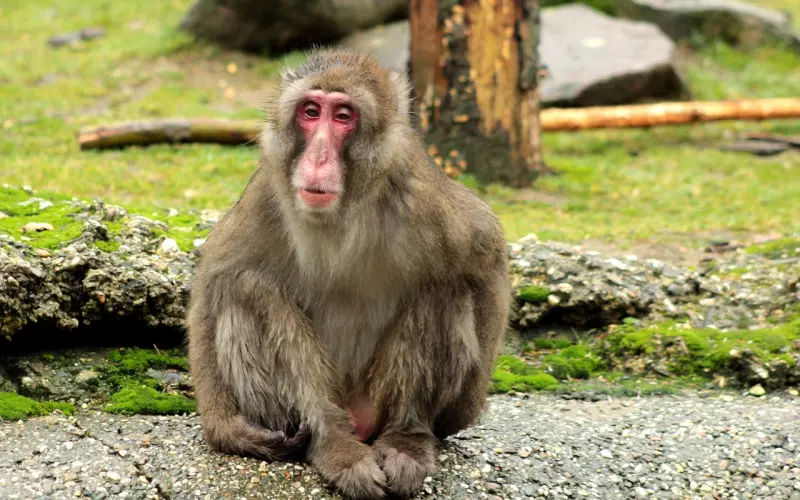 终于，我累了，也懂了。