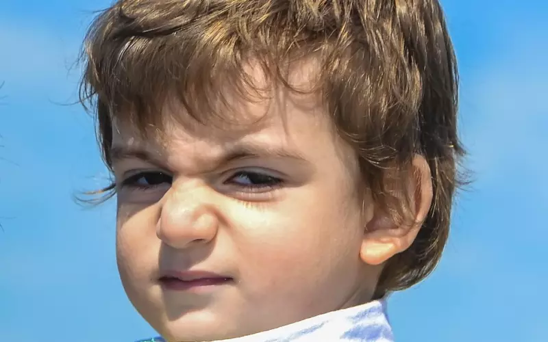 终于我们都活成了不敢生气的人