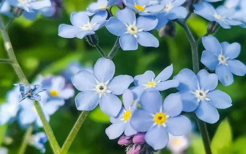 找个大叔结婚吧！别问我为什么，看了就知道！