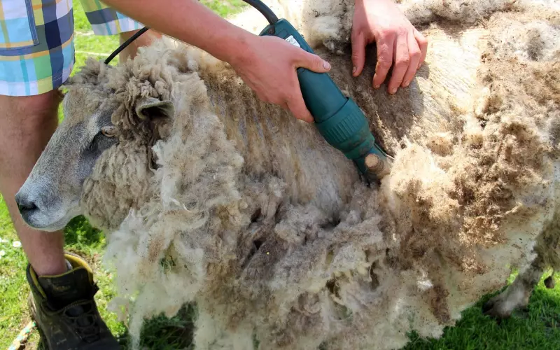 找个睡不腻的人结婚