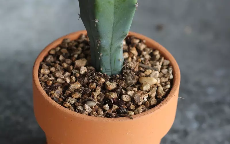 余生，找一个惦记你的人！