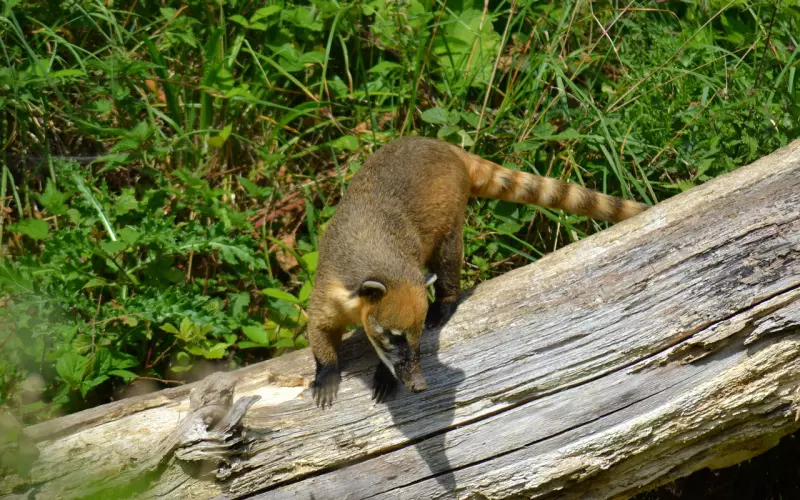 找准要害，挽回势如破竹！