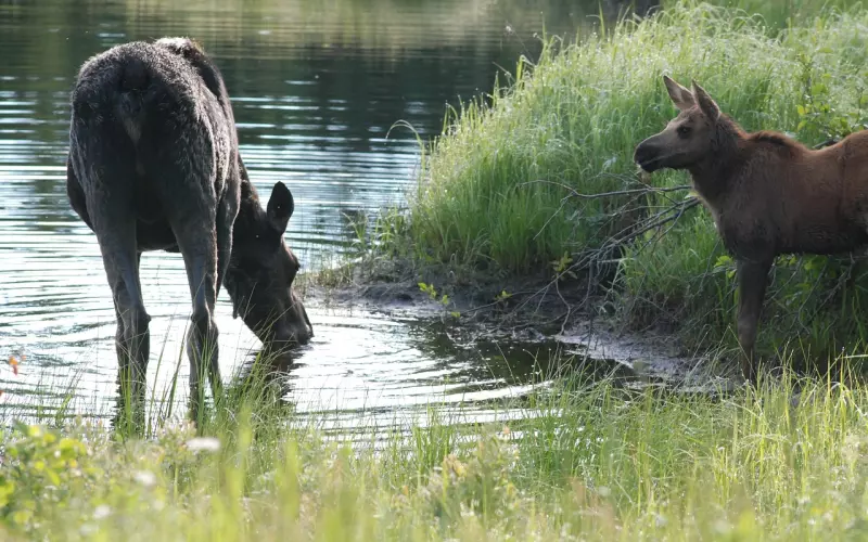 与女生聊天找话题，不冷场的高招都在这儿