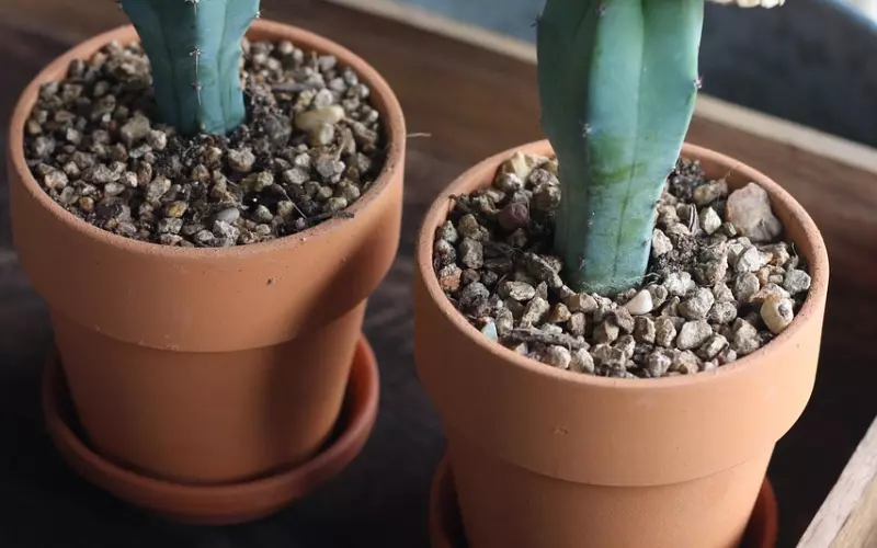 找一个懂你的人需要缘份 （句句穿透你的心）