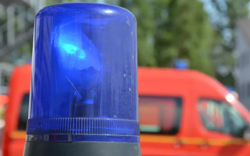 破镜重圆挽回爱情急救手册（贰）