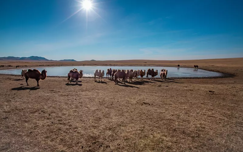 失恋女必备的五个步骤，帮助你重拾爱情