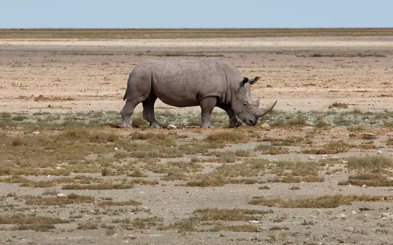 分手后挽回爱情的五大雷区，中一个无法挽回！