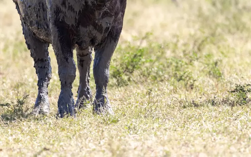 五大心里战术，教你俘获男神