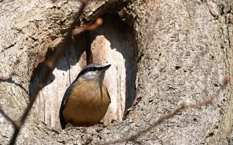 分手后对方还爱着你五大表现